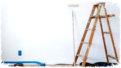 Warna Dinding Bisa Memicu Gelisah, Cara Pilih Cat Rumah Agar Mental Tetap Aman