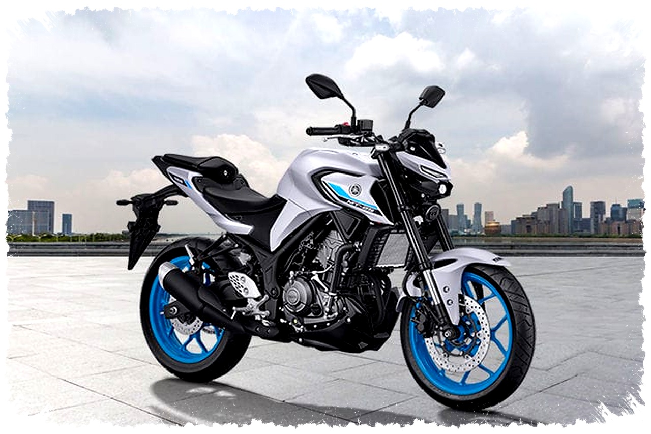 Yamaha MT 25 atau Honda CB250R, Saat Gaya Garang Bentrok dengan Irit dan Lincah