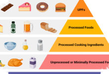 Daftar Makanan UPF Yang Sering Kita Makan, Ternyata Berkaitan Dengan Obesitas Dan Diabetes